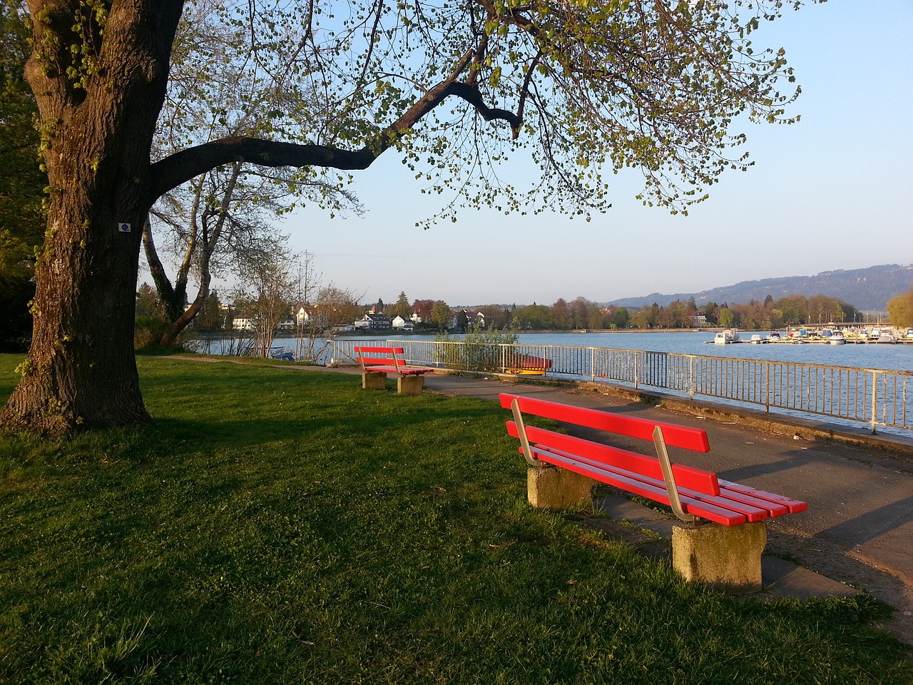 这一战绩不 这一战绩不